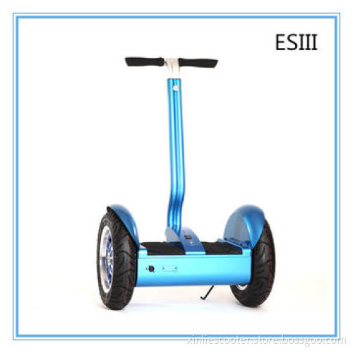 Newest Two-wheel Stand Electric Chariot Mobility Scooters